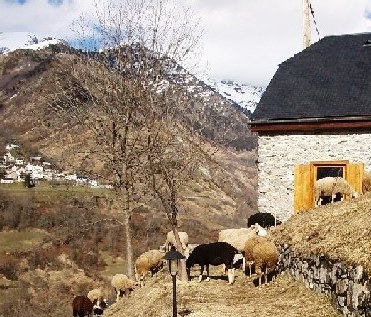 index_fichiers/BETPOUEY.MOUTON.JPG